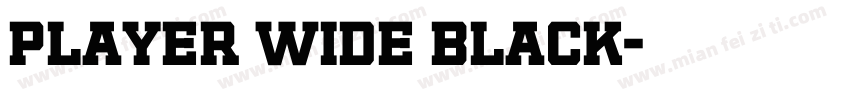 Player Wide Black字体转换